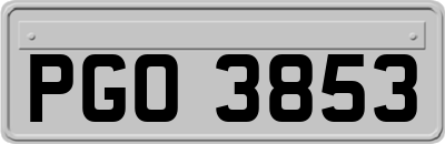 PGO3853