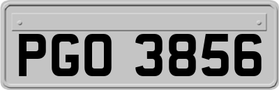 PGO3856