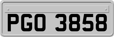 PGO3858