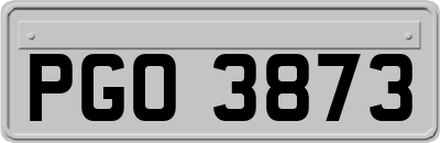 PGO3873