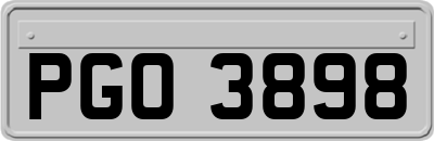 PGO3898