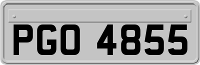 PGO4855