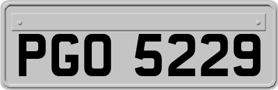 PGO5229