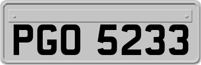 PGO5233