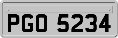 PGO5234