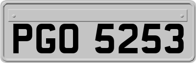 PGO5253