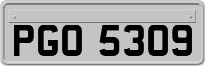 PGO5309