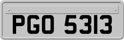 PGO5313