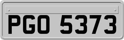 PGO5373