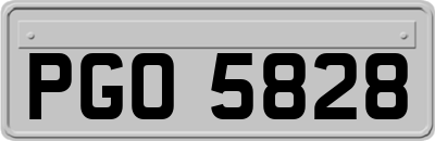 PGO5828