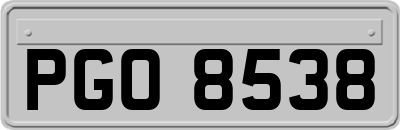 PGO8538
