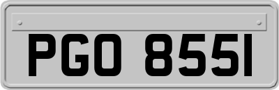 PGO8551
