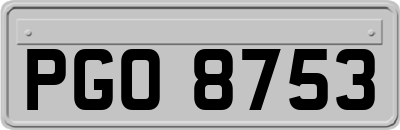 PGO8753