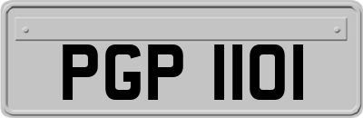 PGP1101