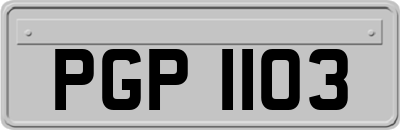 PGP1103