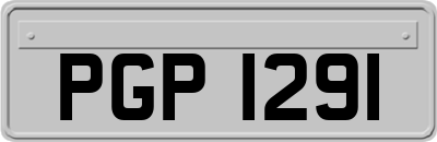PGP1291