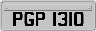 PGP1310