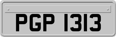 PGP1313
