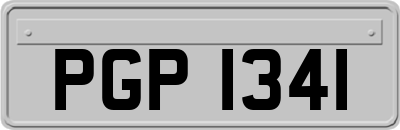 PGP1341