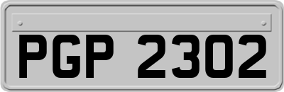 PGP2302
