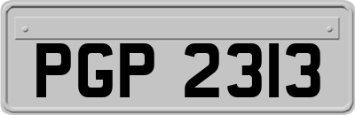 PGP2313