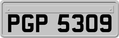 PGP5309