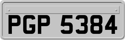 PGP5384