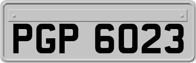 PGP6023