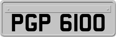 PGP6100
