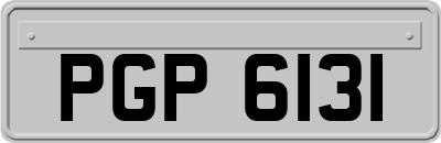 PGP6131