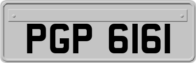PGP6161