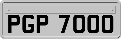PGP7000
