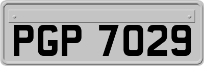 PGP7029