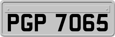 PGP7065