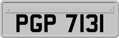 PGP7131