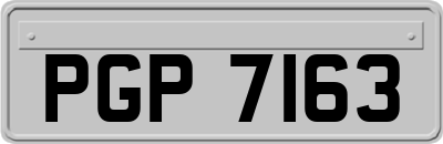 PGP7163