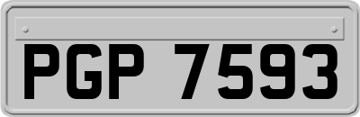 PGP7593
