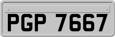 PGP7667