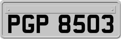 PGP8503