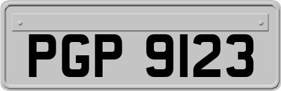 PGP9123