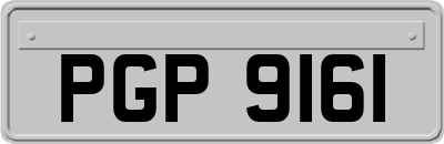 PGP9161