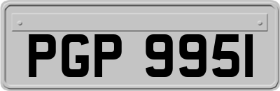 PGP9951