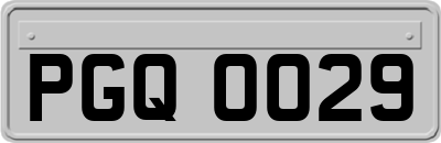 PGQ0029