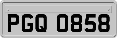 PGQ0858
