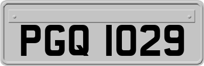 PGQ1029