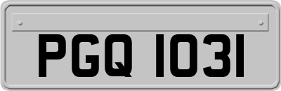 PGQ1031
