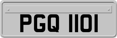 PGQ1101