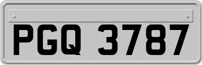 PGQ3787