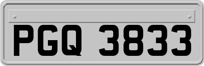 PGQ3833