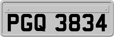 PGQ3834